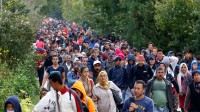 Centaines Terroristes Réfugiés Police Allemande
