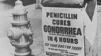 Royaume Uni gonorrhée résister bientôt traitements