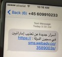 Aux Emirats Arabes Unis, résistance face aux programmes de surveillance sur Iphone