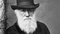 Revolutionary video dessein intelligent évolutionnisme Darwin complexité vivant