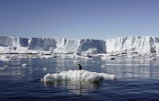 D&rsquo;après des experts, la glace maritime arctique aurait dû fondre entièrement avant septembre 2016…