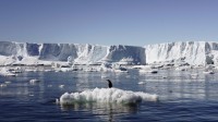 D’après des experts, la glace maritime arctique aurait dû fondre entièrement avant septembre 2016…