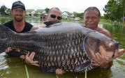 La photo : 90 minutes de batailles pour la plus grosse carpe du monde : 222 pounds (101 kilos), …