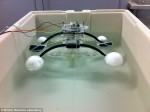 Des chercheurs britanniques de Bristol ont développé un « robot mou » qui mange, digère et meurt