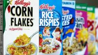 Kellogg millions causes gauchistes racisme structurel