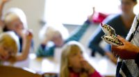 Danemark tests obligatoires compétences langage enfants 3 ans