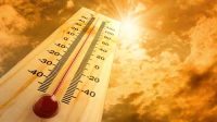 Le billetEntre deux COP : réchauffement, trou d’ozone et autres phénomènes extrêmes du mensonge médiatique à prétention scientifique