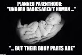 La Commission spéciale du Congrès des Etats-Unis publie son rapport sur le trafic d’organes de fœtus par “Planned Parenthood”