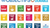 ONU agenda 2030 développement durable Peter Thomson contrôle Europe