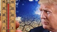 Trump Retrait Accord Paris climat Myron Ebell