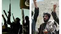 Coopération en vue entre Al Qaïda et Daech, selon le vice-président irakien