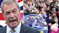 Nigel Farage Brexit immigration élites