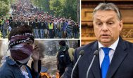 Orban, pas de compromis avec Bruxelles sur les migrants&nbsp;:<br>le compromis de Luxembourg