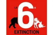 La 6e, et plus grande extinction de masse depuis la disparition des dinosaures ? On se calme…