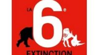 6e extinction masse disparition dinosaures