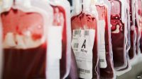 Sang contaminé : la Grande-Bretagne a laissé transfuser les hémophiles jusqu’en 1986 et prévu de s’en servir de cobayes