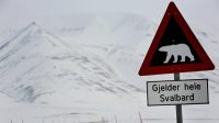 Norvège guide touristique sanctionné effrayé blanc