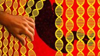 embryon CRISPR Cas9 ingénierie génétique eugénisme