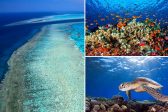 La Grande barrière de corail se porte mieux… à la grande surprise des réchauffistes