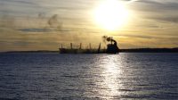 Intense lobbying industrie transport maritime réduction émissions CO2