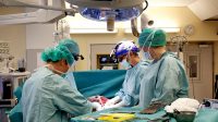 Transplantation Utérus Tranches Saucisson Homme Enceint