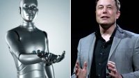 chances survivre Intelligence Artificielle Elon Musk