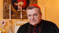 cardinal Burke confusion division Eglise nouvel entretien