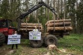 Comment le bostryche typographe est en train de détruire la forêt de Białowieża en Pologne avec le soutien des écologistes et de la Commission européenne
