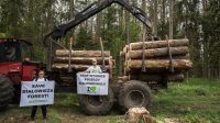 écologistes Commission européenne Forêt Białowieża Pologne