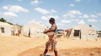 La FAO célèbre les femmes indigènes, « gardiennes des semences »