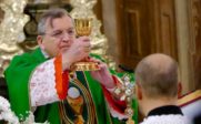 cardinal Burke Cardinal-Burke-envisage-excommunication-resistance-enseignements-doctrine-Eglise-181x112