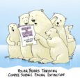 Les ours polaires ne sont pas en danger, affirment les scientifiques Susan Crockford et Mitchell Taylor, déchaînant les climato-alarmistes