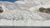 « Changement climatique » : la température de l’Antarctique ne se réchaufferait pas