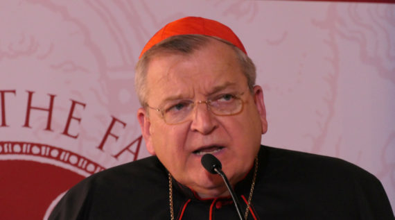 Référendum irlandais avortement cardinal Burke accuse manque soutien Rome