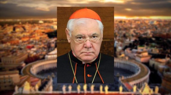 cardinal Gerhard Müller dénonce processus protestantisation foi nécessaire rédemption