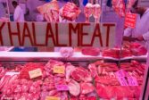 Des vétérinaires britanniques contre les exportations de viande halal du Royaume-Uni vers l’Arabie saoudite