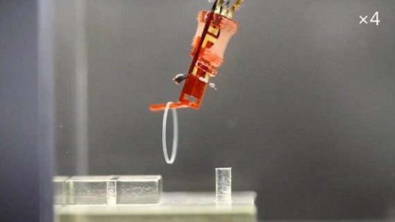 scientifiques doigt robotique biohybride tissu musculaire