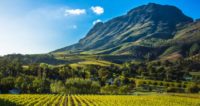 La procédure de saisie des terres des fermiers blancs en Afrique du Sud a commencé
