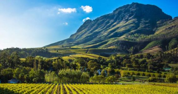 saisie terres fermiers blancs Afrique Sud commencé