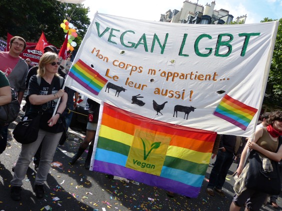 Marche Fiertés Vegans Antifas Combat Révolution