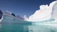Antarctique Glace Réchauffement Climatique