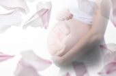 Transplantation réussie d’utérus au Royaume-Uni : la boîte de Pandore n’est pas près de se refermer
