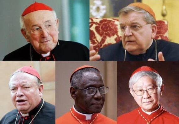 cardinaux dubia pape laïcs