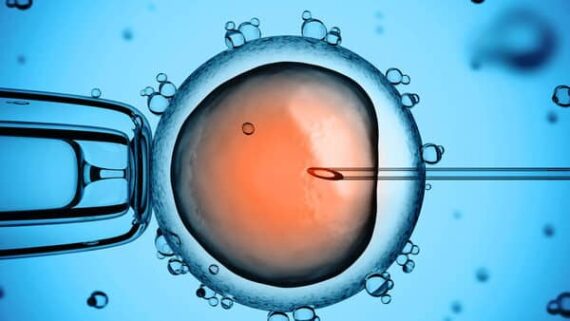 embryons artificiels dix ans