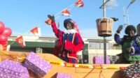 “Sinterklaas et Zwarte Piet” : à Tuinzigt, dans la banlieue de Breda, le serviteur noir de Saint-Nicolas à l’honneur