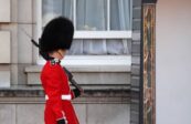 La Phrase : « Arrêtez d’utiliser de la vraie fourrure pour les bonnets de la garde royale britannique »