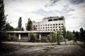 Tchernobyl : des loups mutants résisteraient au cancer