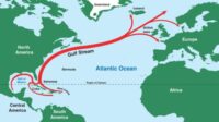effondrement Gulf Stream tromperies