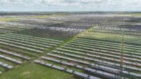 ferme photovoltaïque grêle Texas