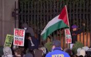 Gaza : des « agitateurs professionnels » ont piloté l’occupation de Columbia University